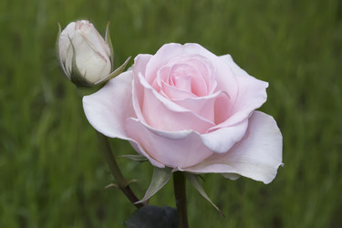 Similar image 20163146