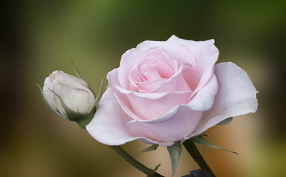 Similar image 20163148