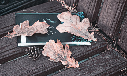 Similar image 20163083