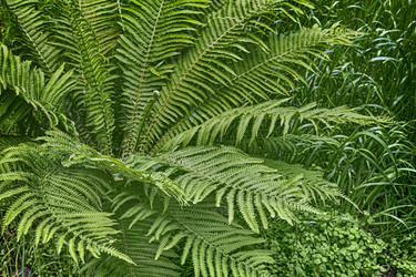 Similar image 20163111