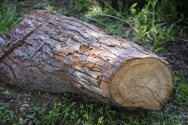 Similar image 20163180