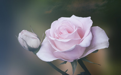 Similar image 20162928