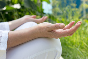 Similar image 20076792