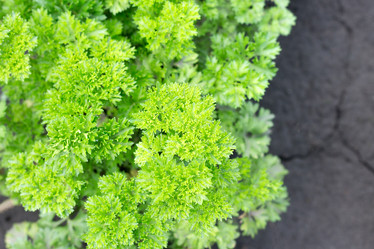 Similar image 20077098