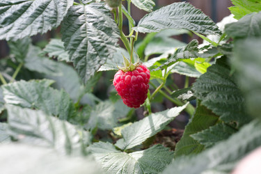 Similar image 20077502