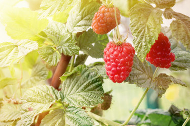 Similar image 20077505