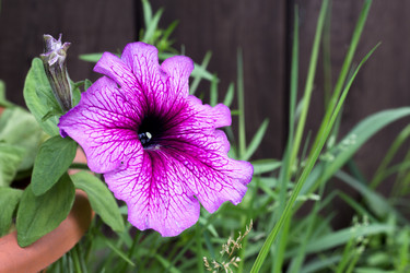 Similar image 20077507