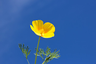 Similar image 20081691