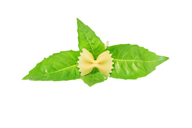 Similar image 20081642