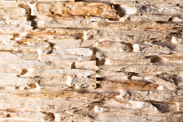 Similar image 20108010