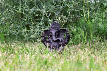 Similar image 20108031