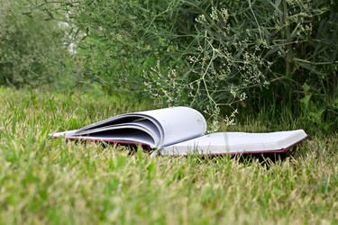 Similar image 20108080