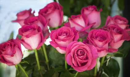 Similar image 20162938