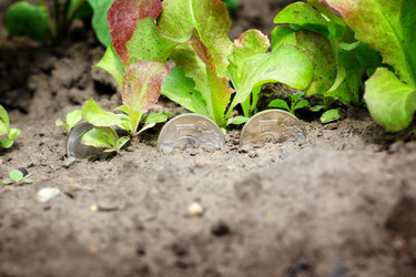 Similar image 20060053