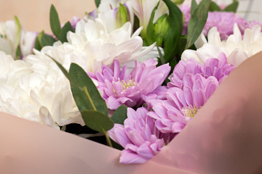 Similar image 20061316