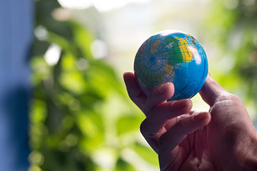 Similar image 20061936