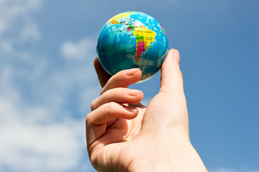 Similar image 20061987