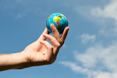 Similar image 20061989