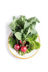 Similar image 20062051