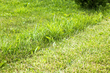 Similar image 20062090