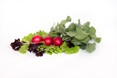 Similar image 20062133