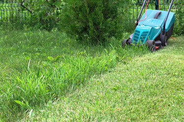 Similar image 20062210