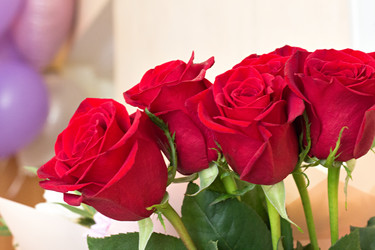 Similar image 20062211