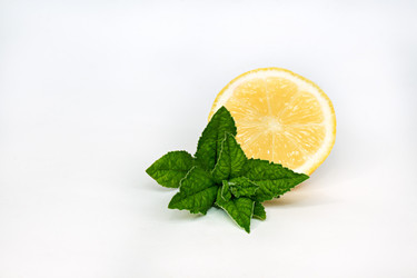 Similar image 20062231