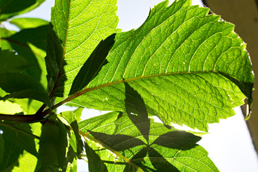 Similar image 20076642