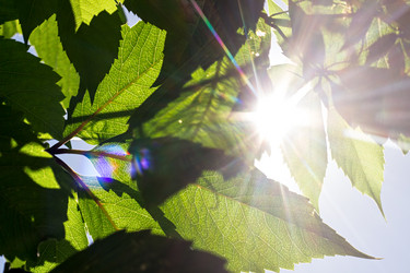 Similar image 20076799