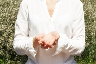 Similar image 20076953