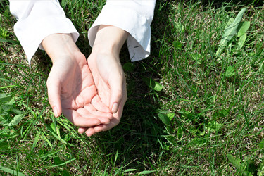 Similar image 20077510