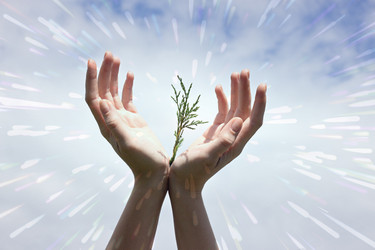 Similar image 20077512