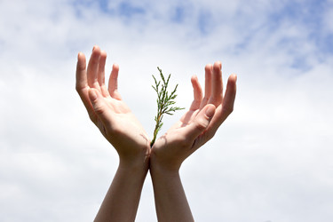 Similar image 20077515