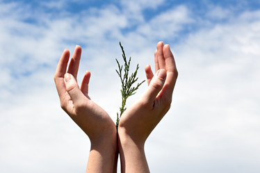 Similar image 20081984