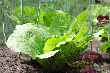 Similar image 20081697