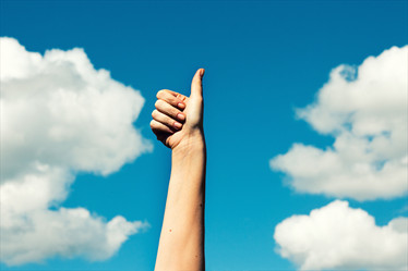 Similar image 20081646