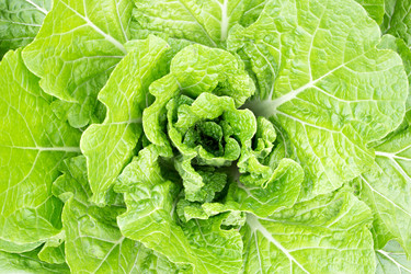 Similar image 20108084