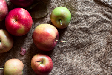 Similar image 20060057