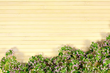 Similar image 20060174