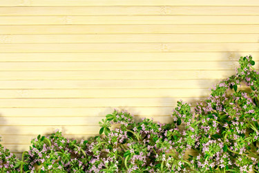 Similar image 20060175