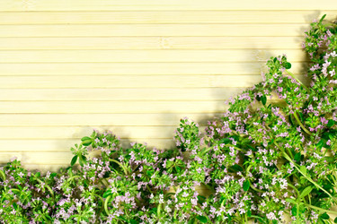 Similar image 20060176