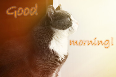 Similar image 20061395