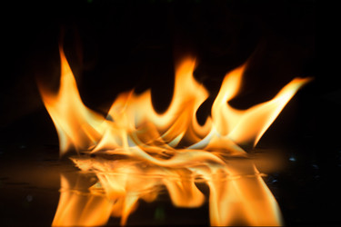 Similar image 20061480