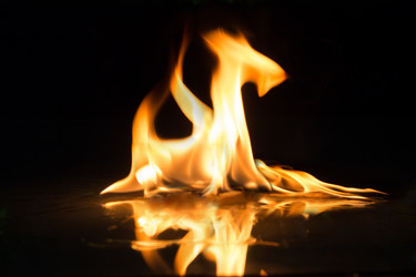 Similar image 20061481