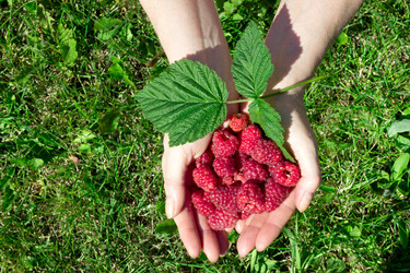 Similar image 20061894