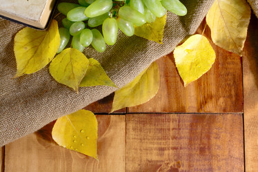 Similar image 20060612