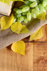 Similar image 20060617