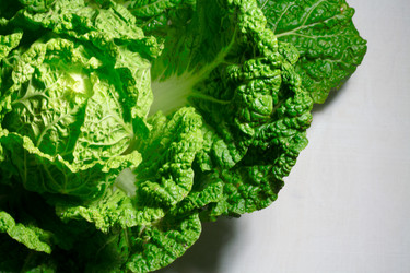 Similar image 20061056