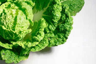 Similar image 20061058